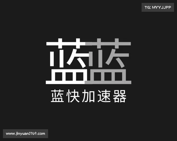 关于蓝快加速器